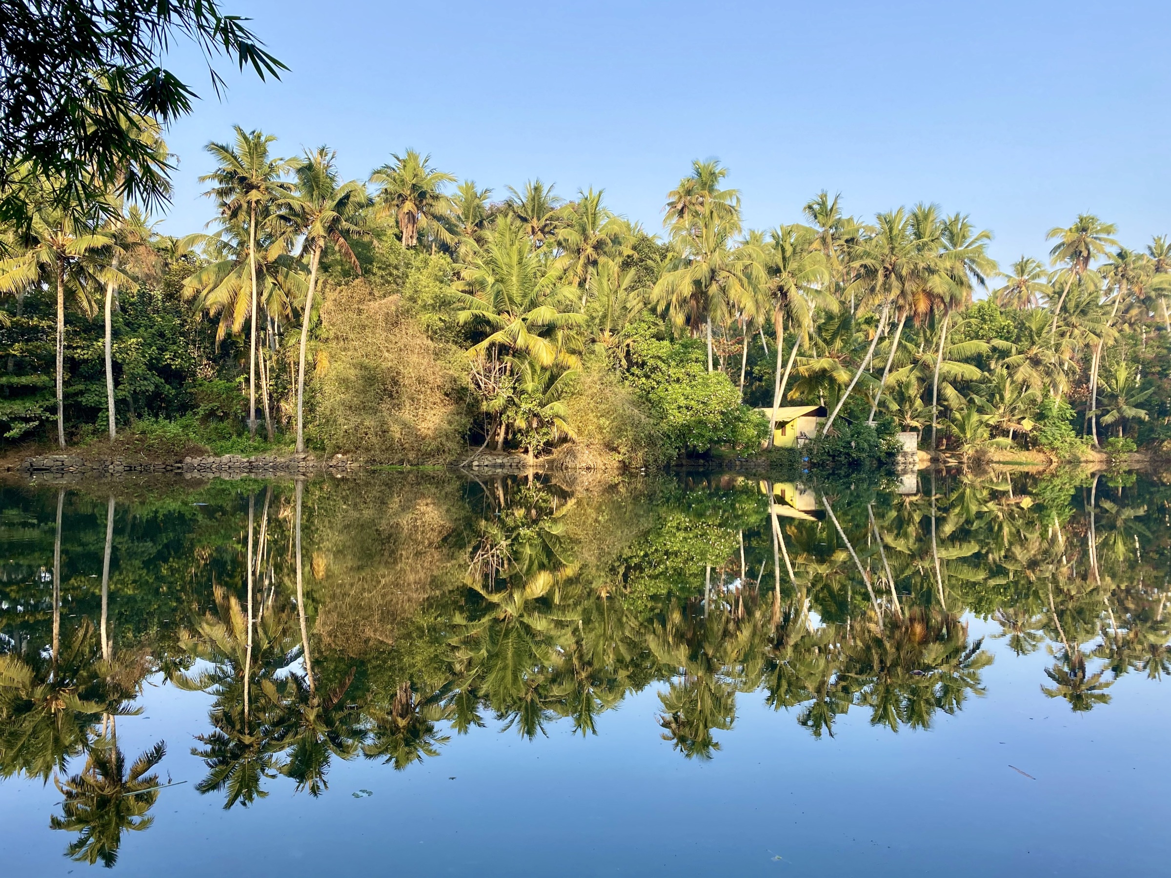 Karnataka,Tamil Nadu,Kerala